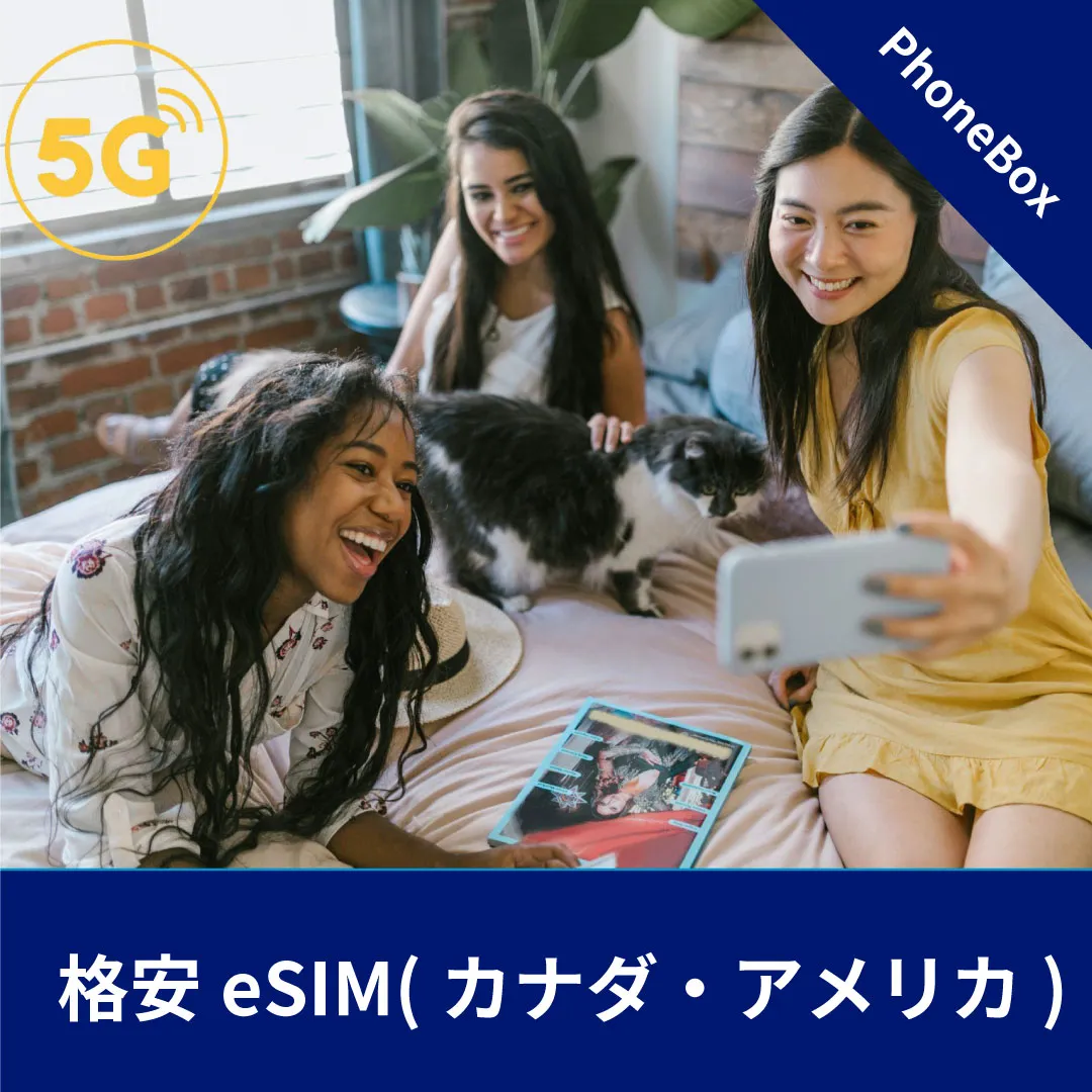 出入国手続き