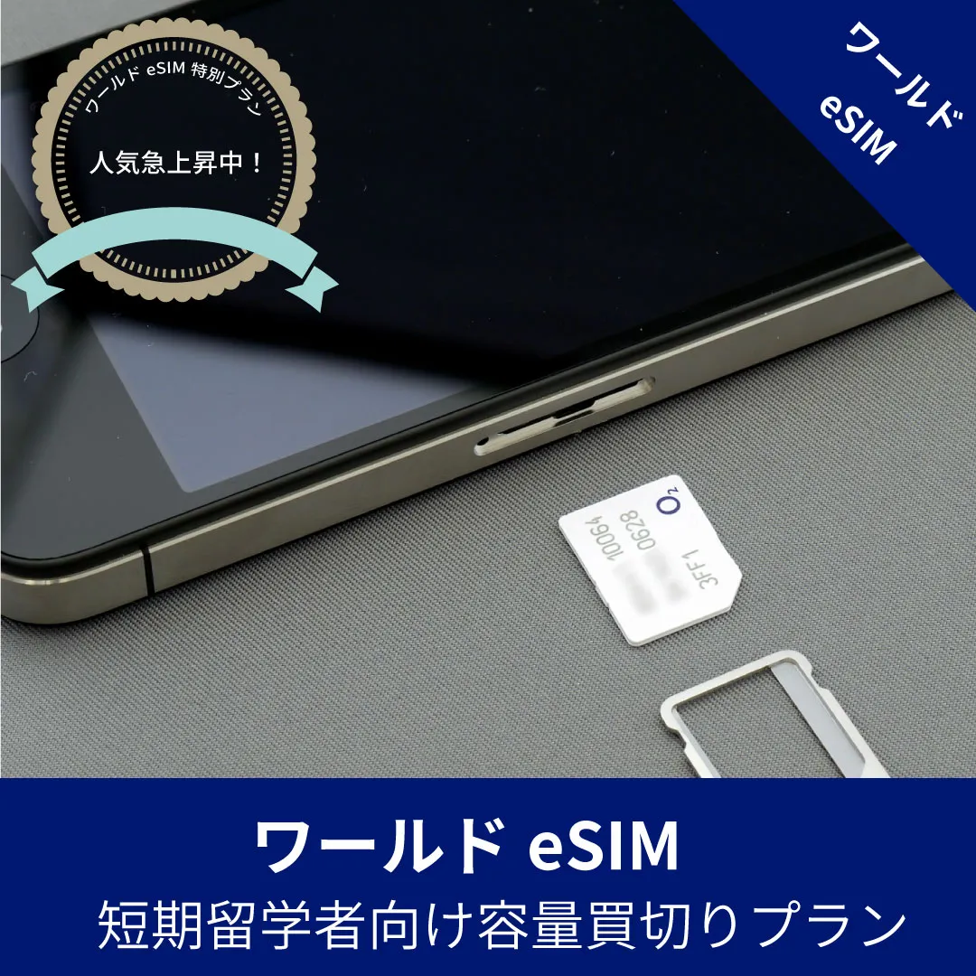 ワールドesim